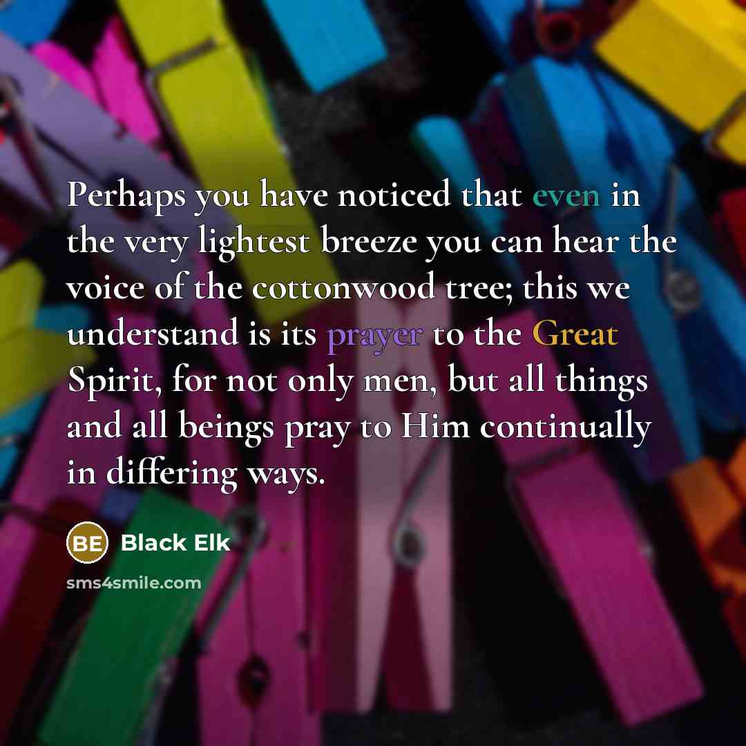 “Perhaps you have noticed that even in the very lightest…” quote by Black Elk
