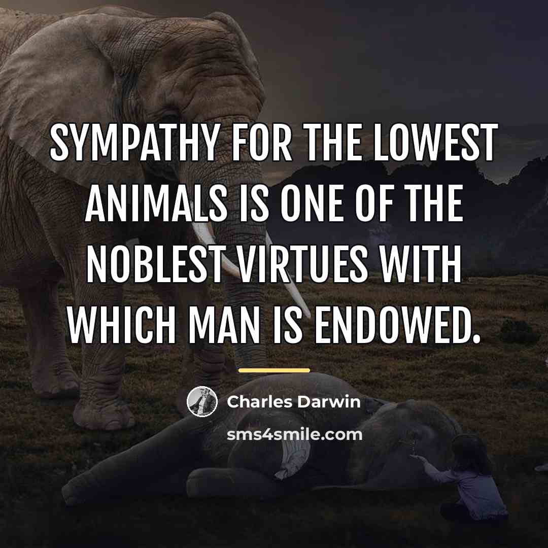 “Sympathy for the lowest animals is one of the noblest…” quote by Charles Darwin