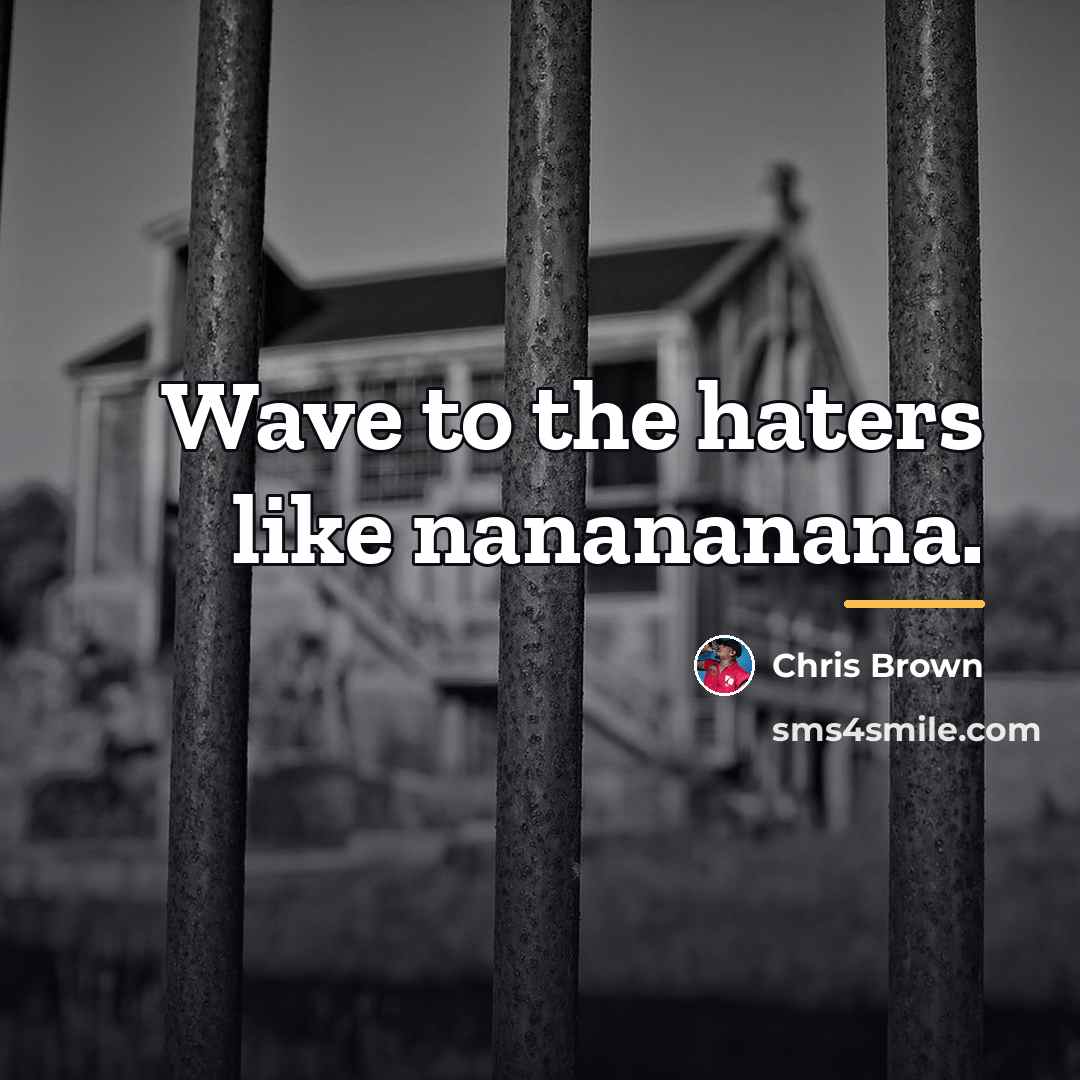 “Wave to the haters like nanananana.…” quote by Chris Brown