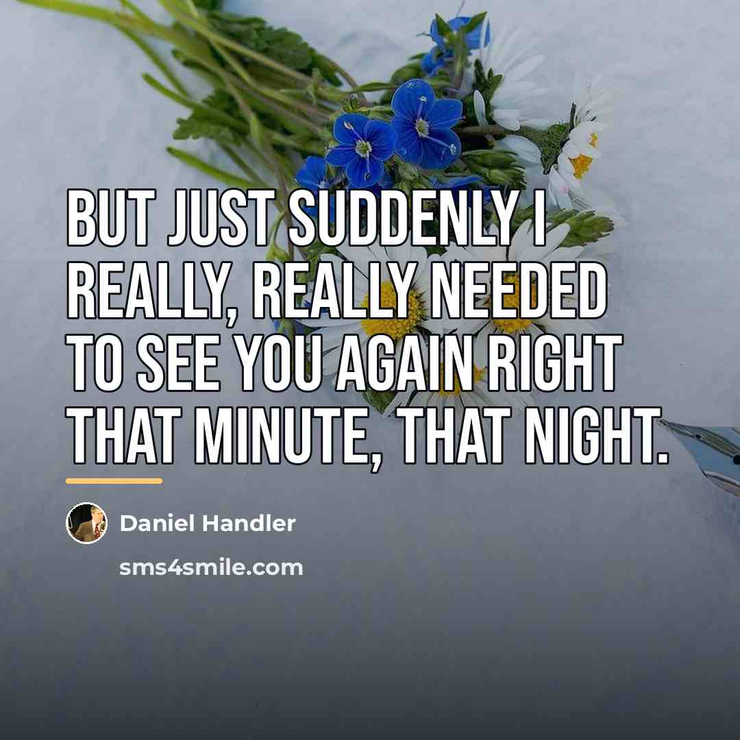 “But just suddenly I really, really needed to see you…” quote by Daniel Handler
