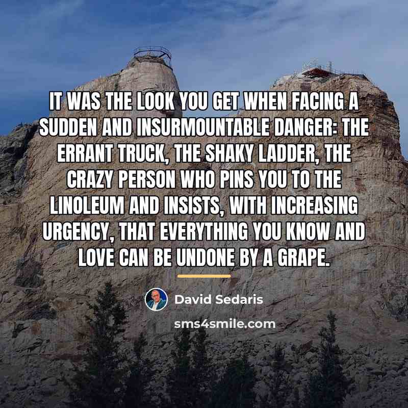 “It was the look you get when facing a sudden…” quote by David Sedaris