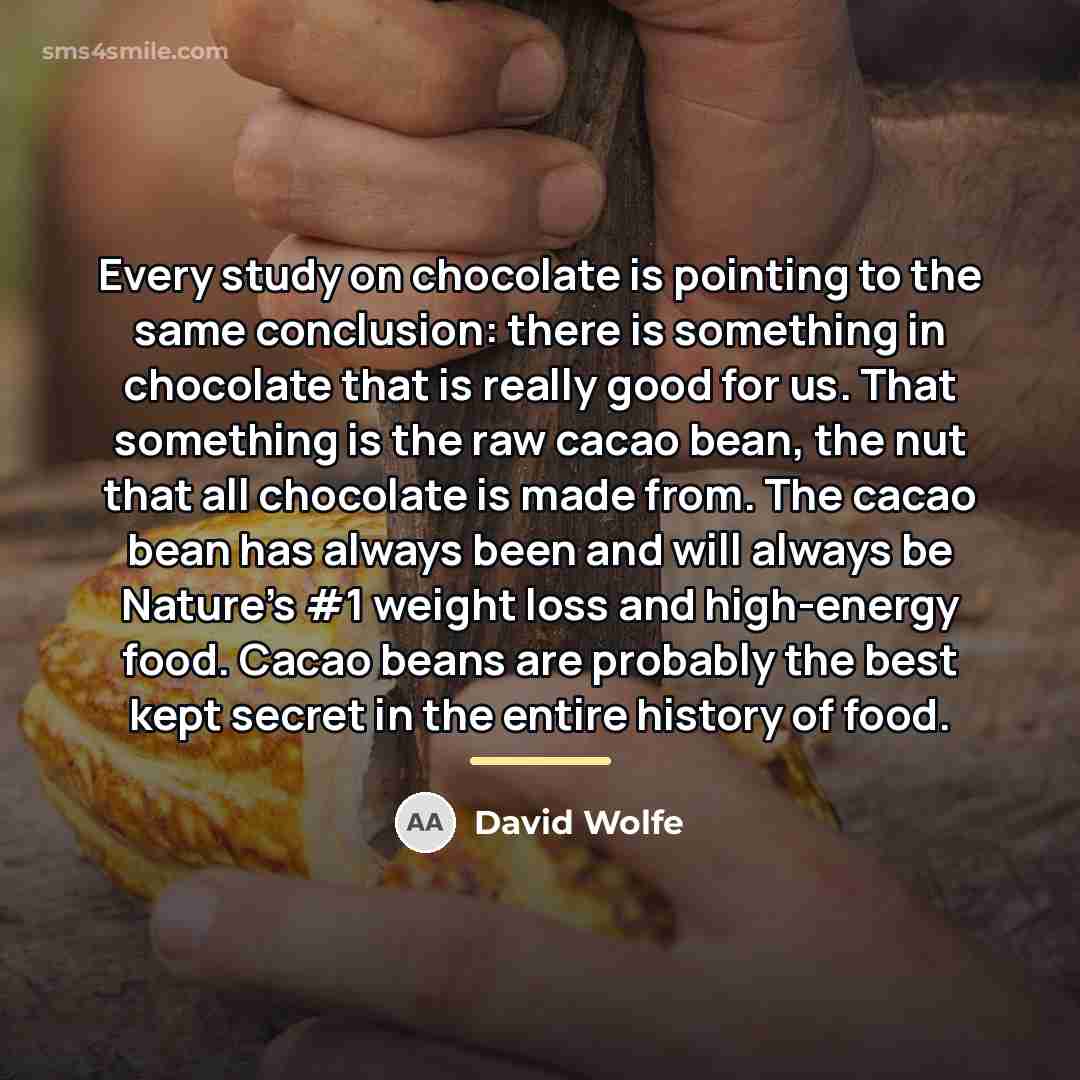 “Every study on chocolate is pointing to the same conclusion:…” quote by David Wolfe