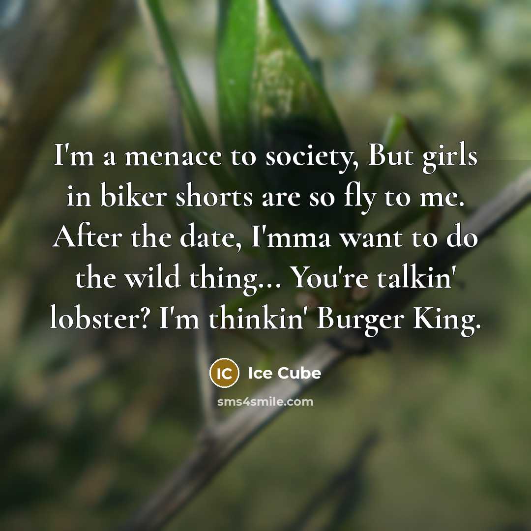 “I'm a menace to society, But girls in biker shorts…” quote by Ice Cube