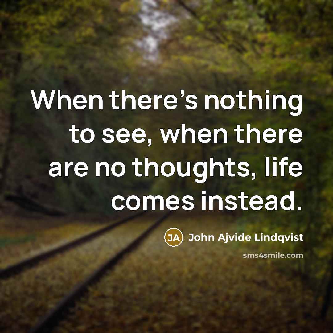 “When there's nothing to see, when there are no thoughts,…” quote by John Ajvide Lindqvist