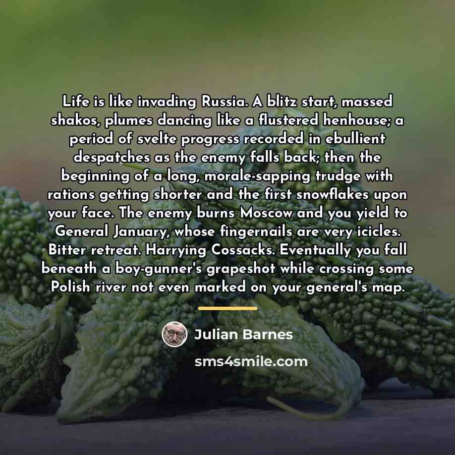 “Life is like invading Russia. A blitz start, massed shakos,…” quote by Julian Barnes
