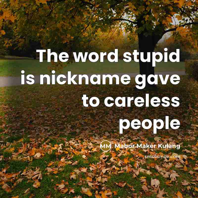 “The word stupid is nickname gave to careless people…” quote by Mabor Maker Kulang