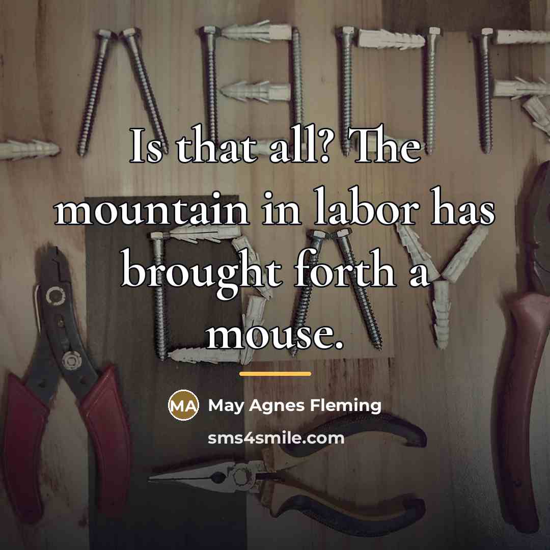 “Is that all? The mountain in labor has brought forth…” quote by May Agnes Fleming