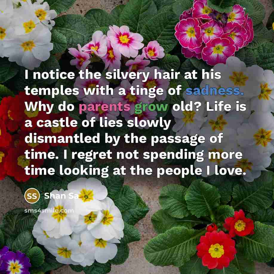 “I notice the silvery hair at his temples with a…” quote by Shan Sa