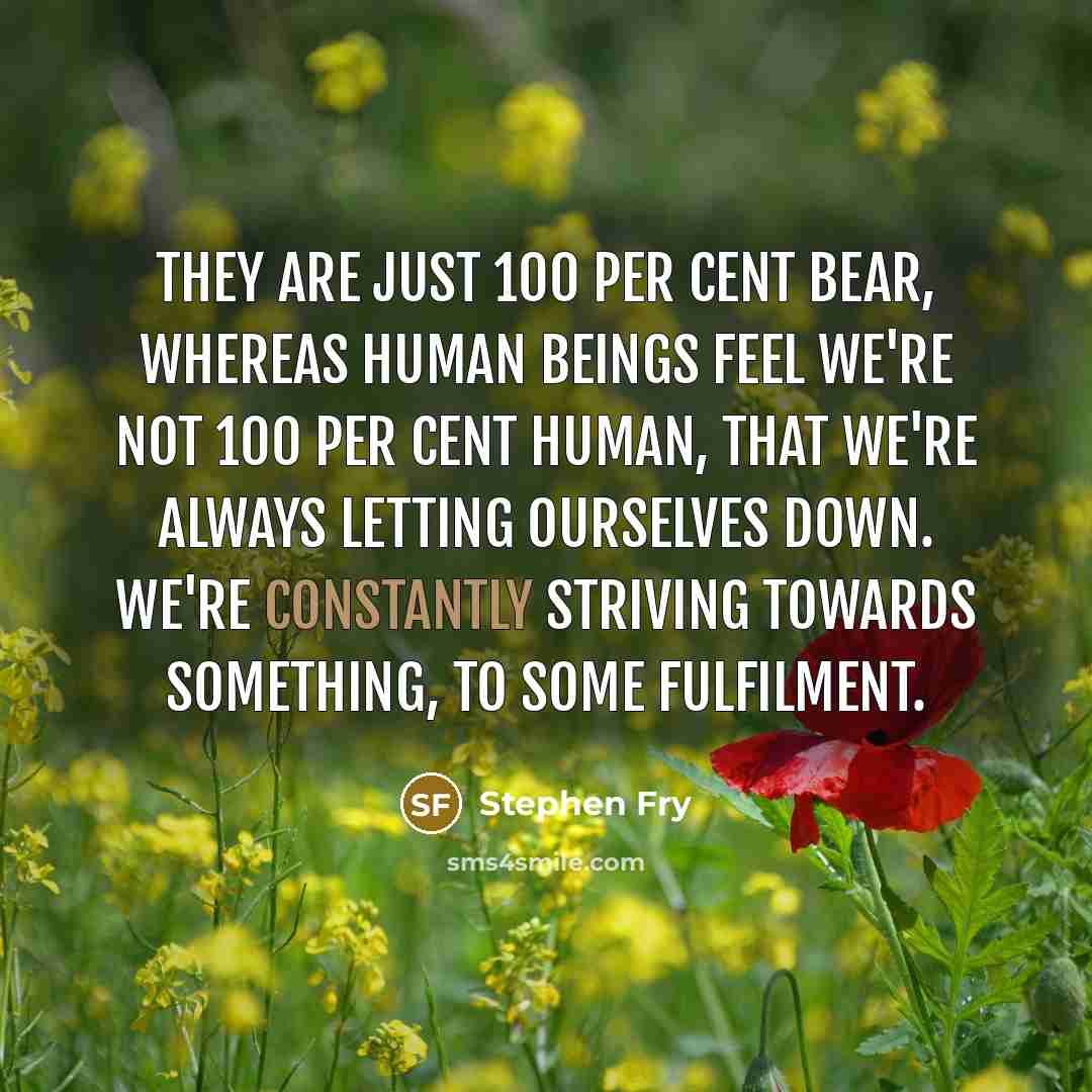 “They are just 100 per cent bear, whereas human beings feel we're not 100 per cent human, that we're always letting ourselves down. We're constantly striving towards something, to some fulfilment.” quote by Stephen Fry