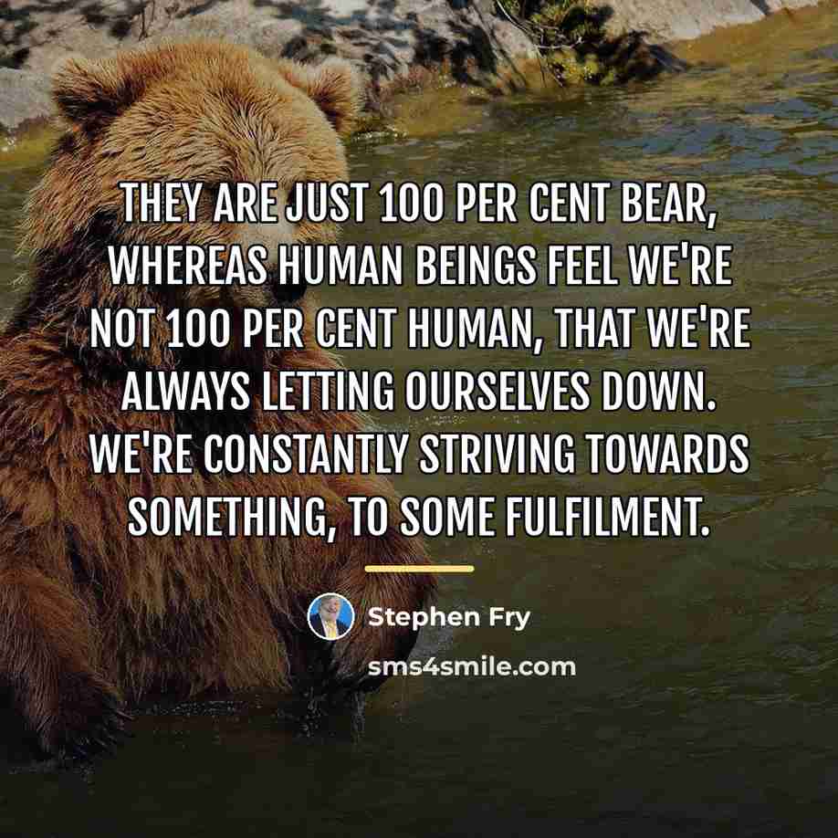 “They are just 100 per cent bear, whereas human beings…” quote by Stephen Fry