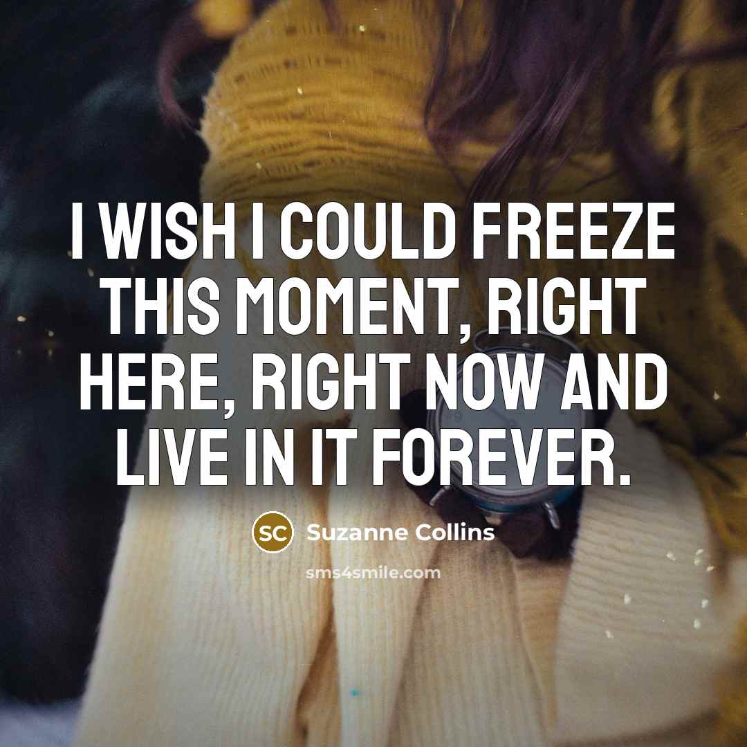 “I wish I could freeze this moment, right here, right…” quote by Suzanne Collins
