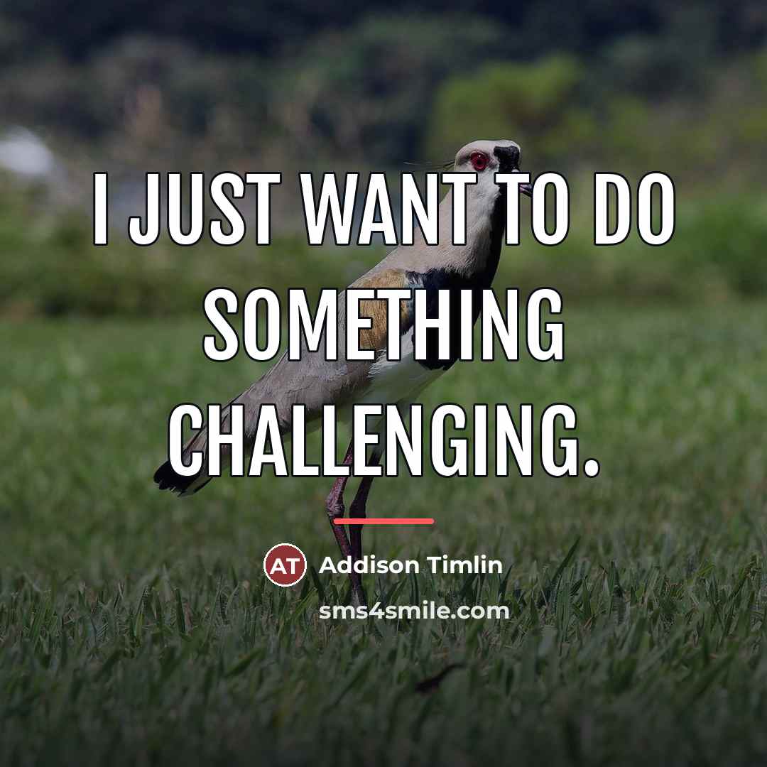 “I just want to do something challenging.…” quote by Addison Timlin