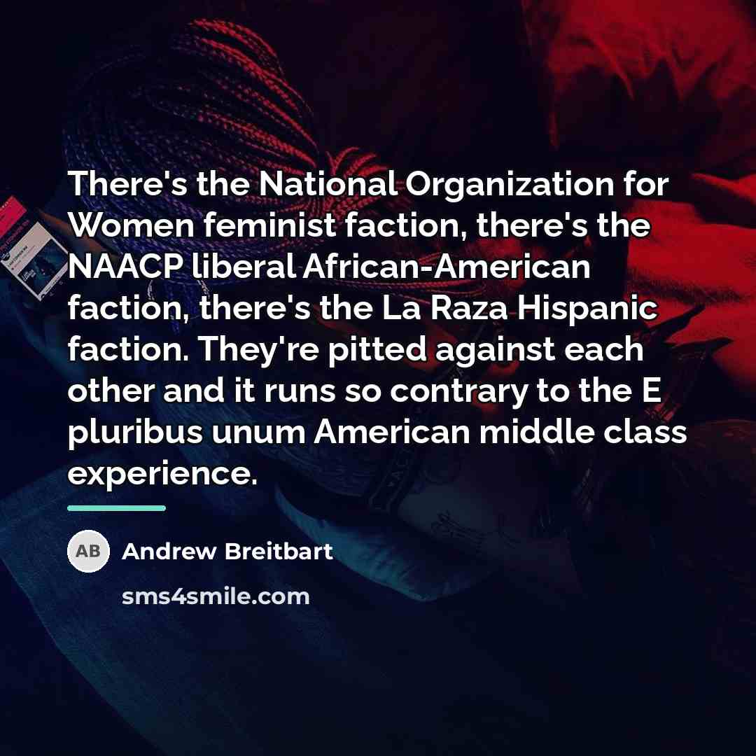 “There's the National Organization for Women feminist faction, there's the…” quote by Andrew Breitbart