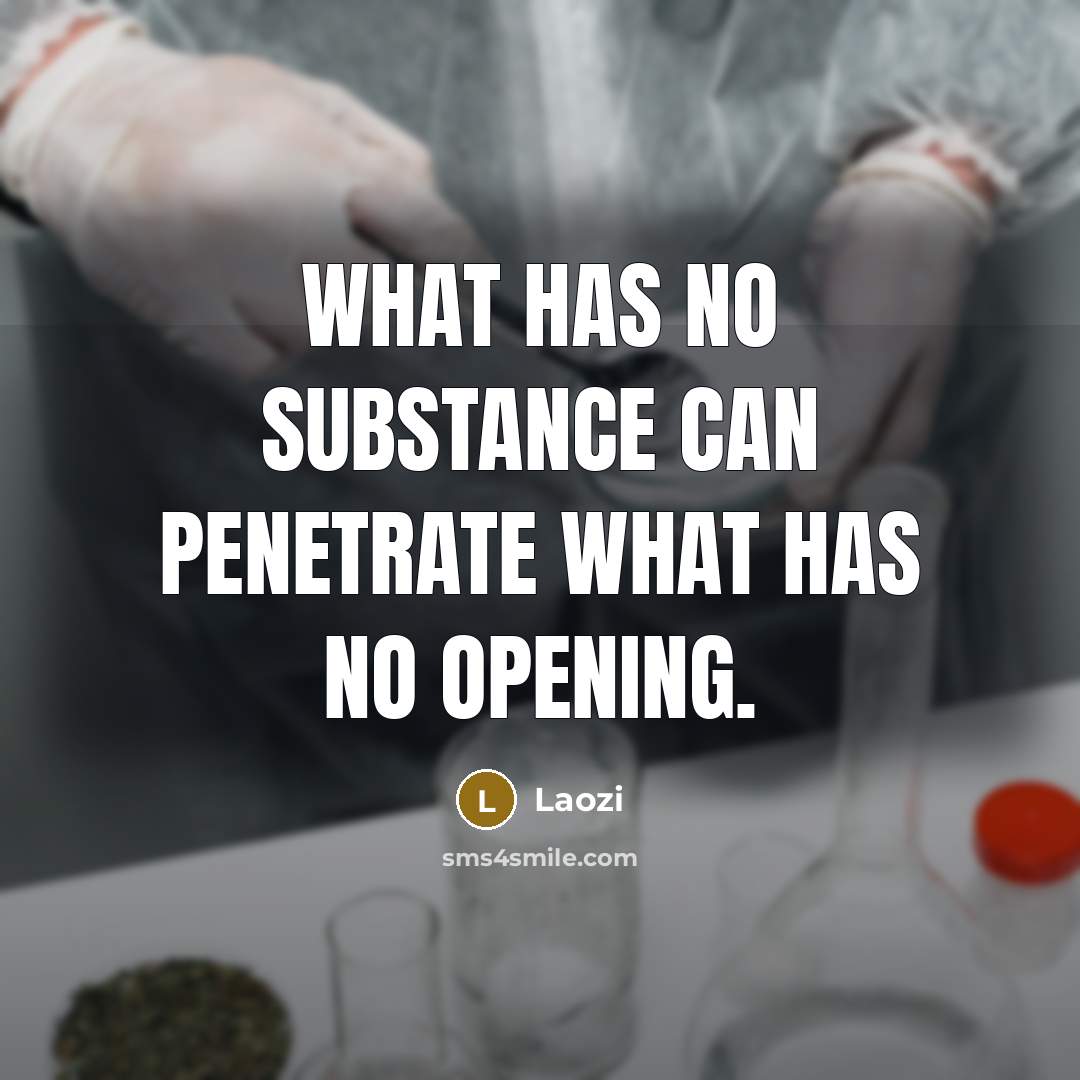 “What has no substance can penetrate what has no opening.…” quote by Laozi