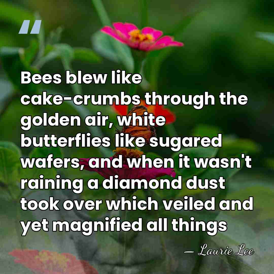 Bees blew like cake-crumbs through the golden air, white butterflies like sugared&hellip; - Laurie Lee