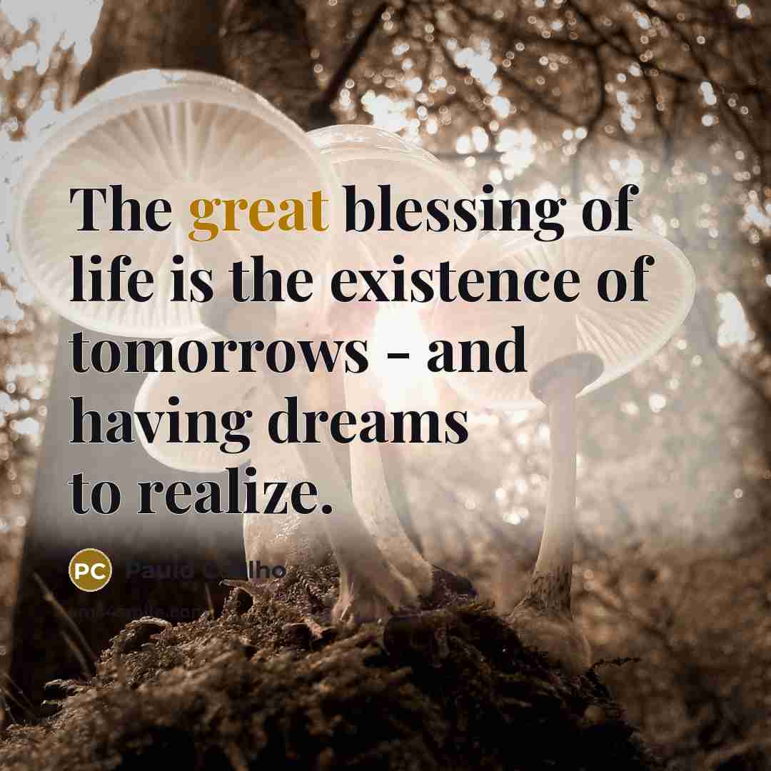“The great blessing of life is the existence of tomorrows…” quote by Paulo Coelho
