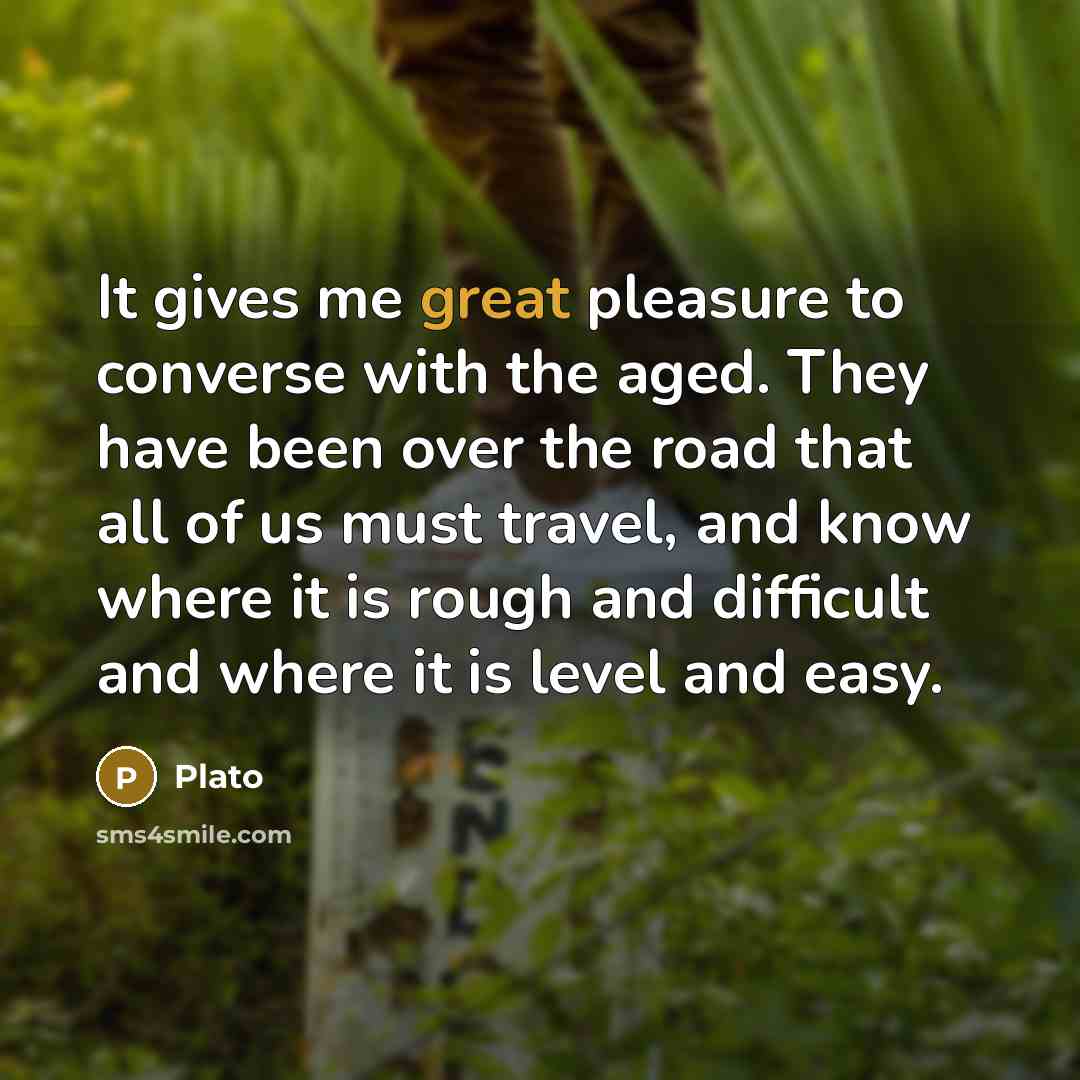 “It gives me great pleasure to converse with the aged.…” quote by Plato