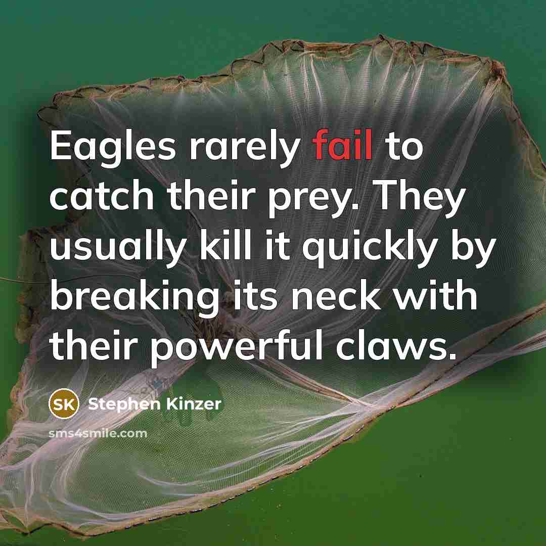“Eagles rarely fail to catch their prey. They usually kill…” quote by Stephen Kinzer
