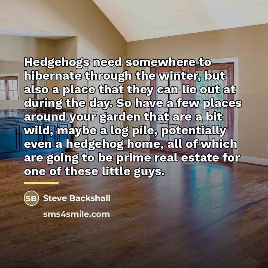 “Hedgehogs need somewhere to hibernate through the winter, but also…” quote by Steve Backshall