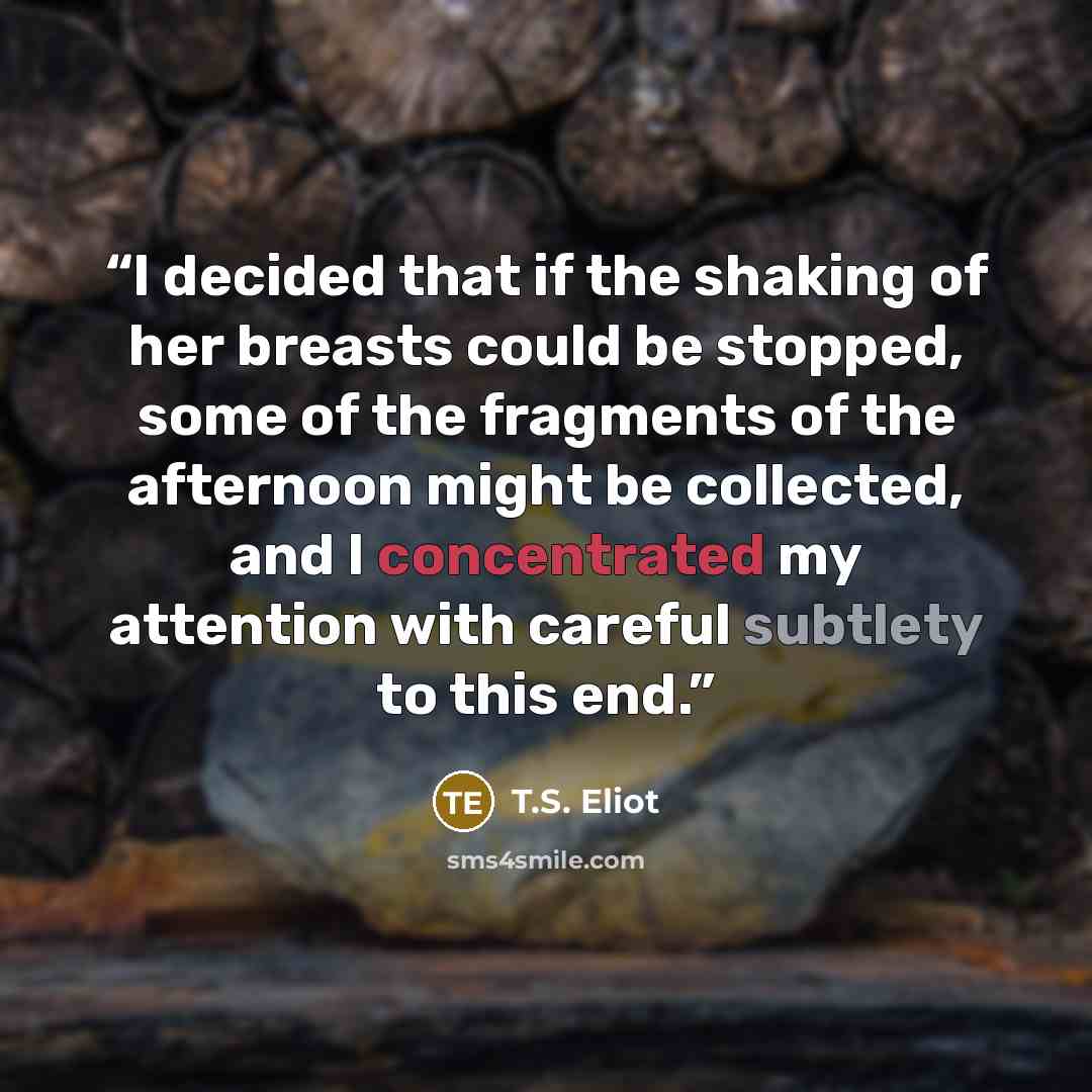 “I decided that if the shaking of her breasts could be stopped, some of the fragments of the afternoon might be collected, and I concentrated my attention with careful subtlety to this end.” quote by T.S. Eliot