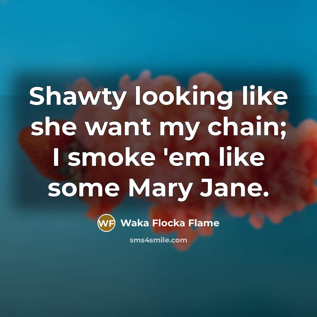 “Shawty looking like she want my chain; I smoke 'em like some Mary Jane.” quote by Waka Flocka Flame