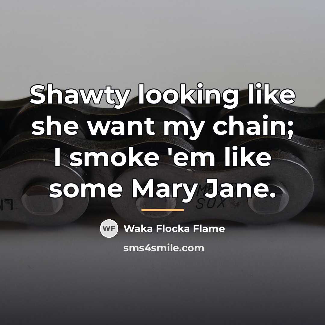 “Shawty looking like she want my chain; I smoke 'em…” quote by Waka Flocka Flame