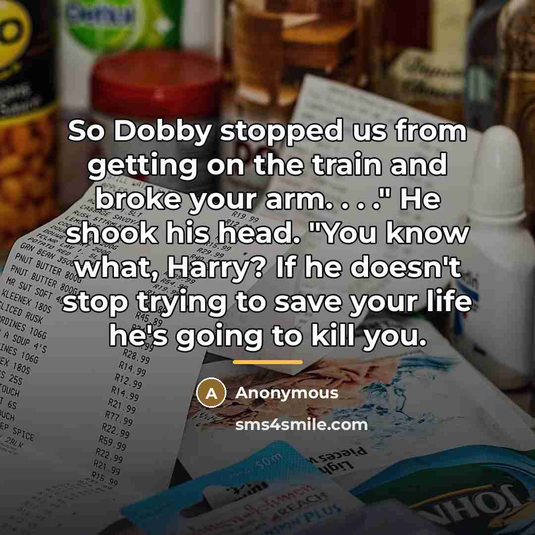 “So Dobby stopped us from getting on the train and…” quote by Anonymous