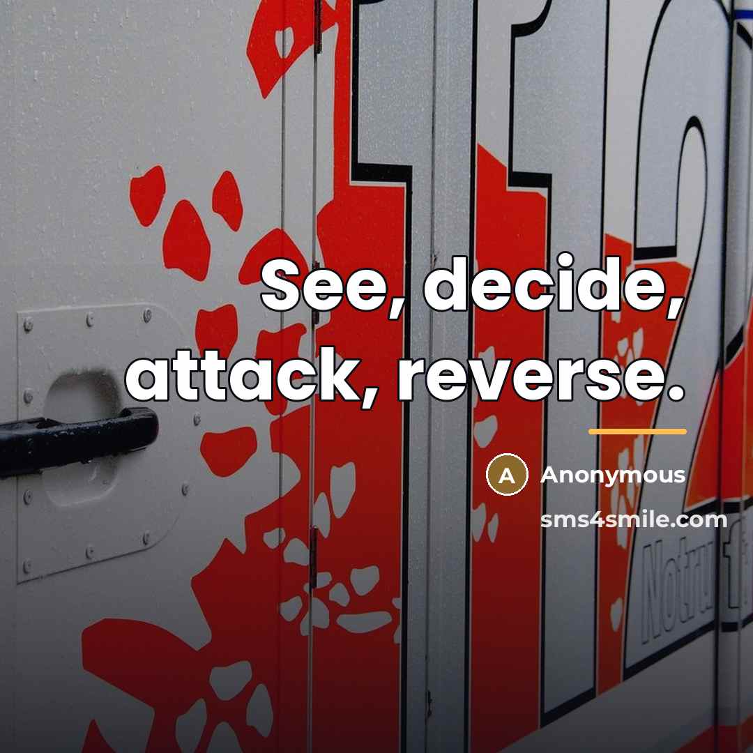 “See, decide, attack, reverse.…” quote by Anonymous