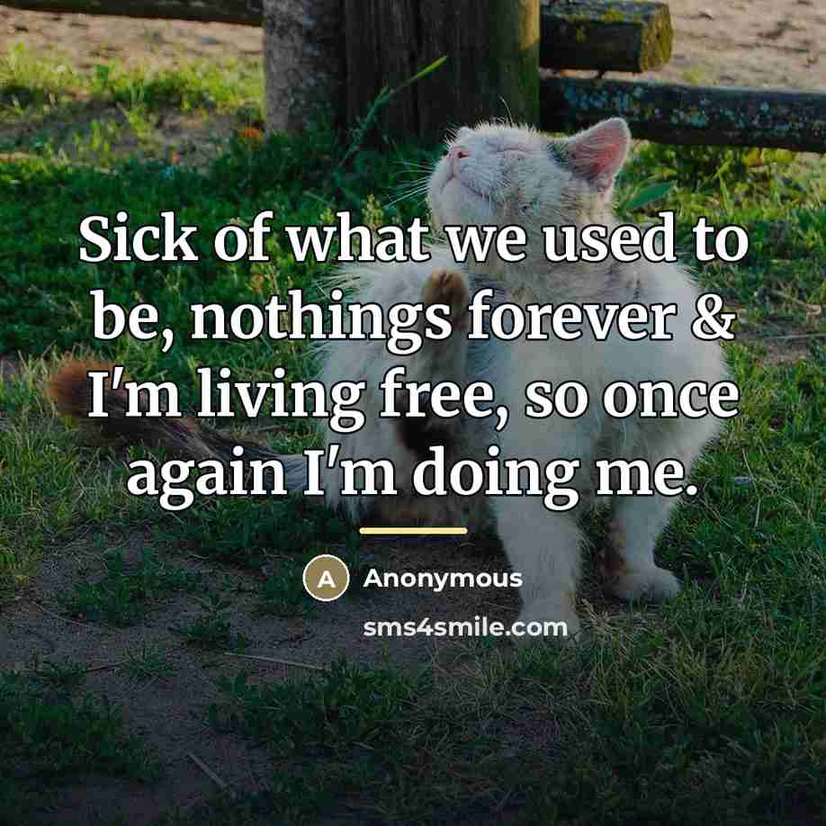 “Sick of what we used to be, nothings forever &…” quote by Anonymous