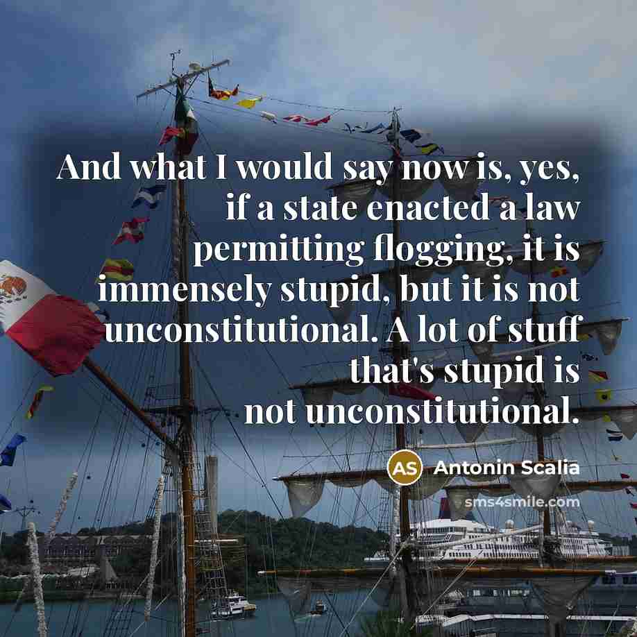 “And what I would say now is, yes, if a state enacted a law permitting flogging, it is immensely stupid, but it is not unconstitutional. A lot of stuff that's stupid is not unconstitutional.” quote by Antonin Scalia