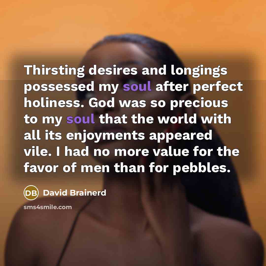 “Thirsting desires and longings possessed my soul after perfect holiness.…” quote by David Brainerd