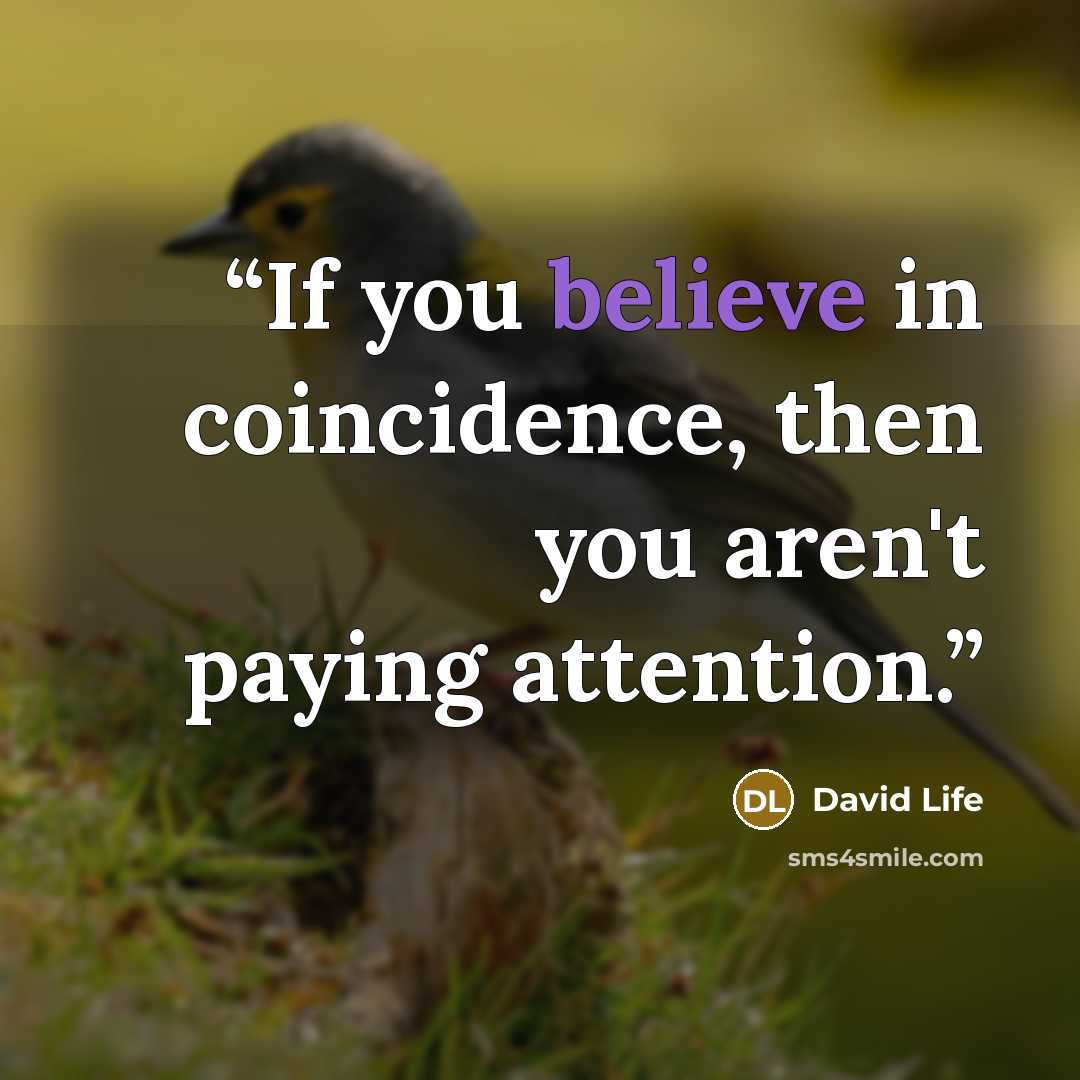 “If you believe in coincidence, then you aren't paying attention.” quote by David Life