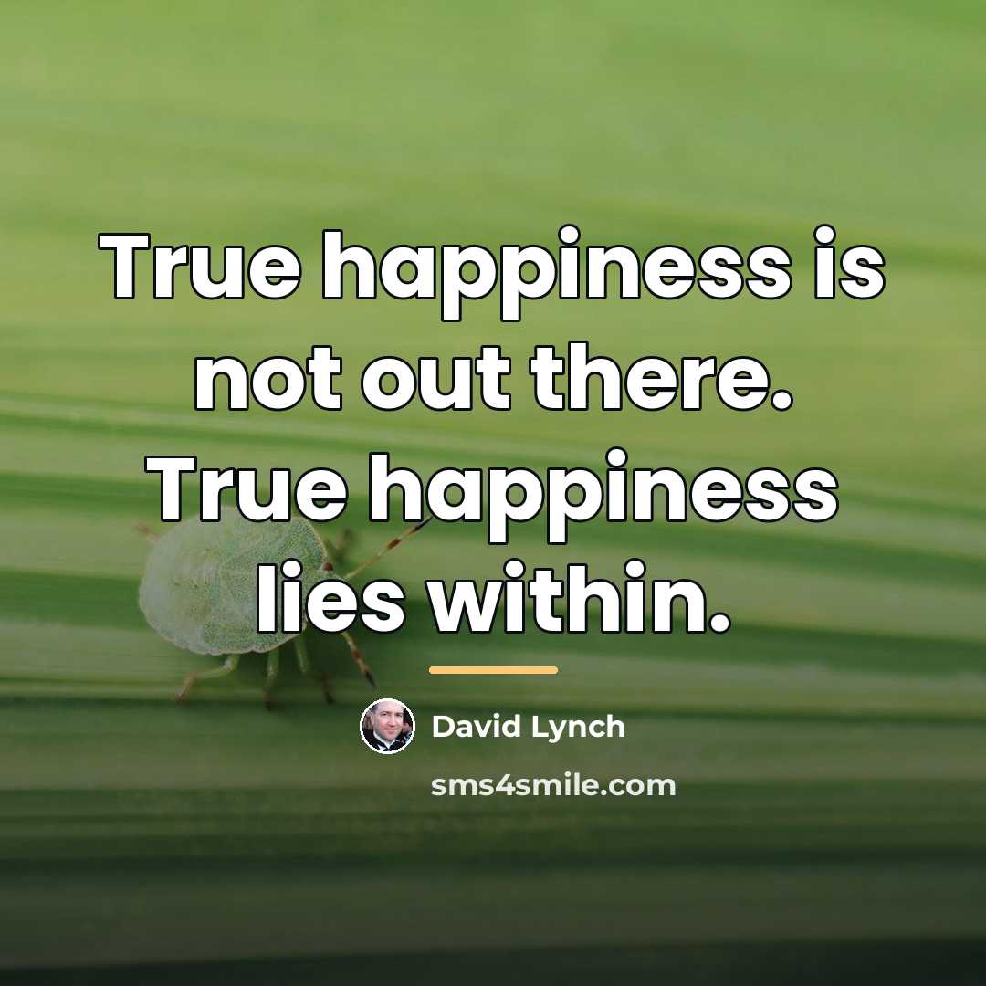 “True happiness is not out there. True happiness lies within.…” quote by David Lynch