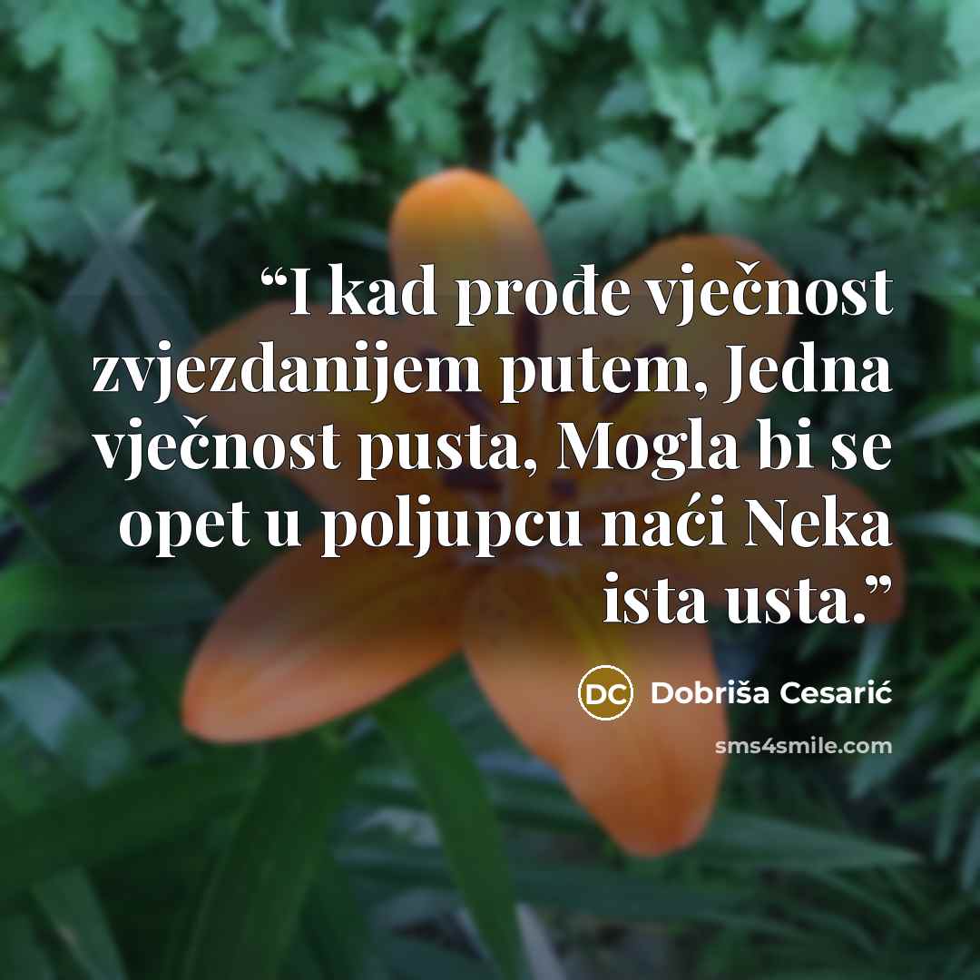 “I kad prođe vječnost zvjezdanijem putem, Jedna vječnost pusta, Mogla bi se opet u poljupcu naći Neka ista usta.” quote by Dobriša Cesarić