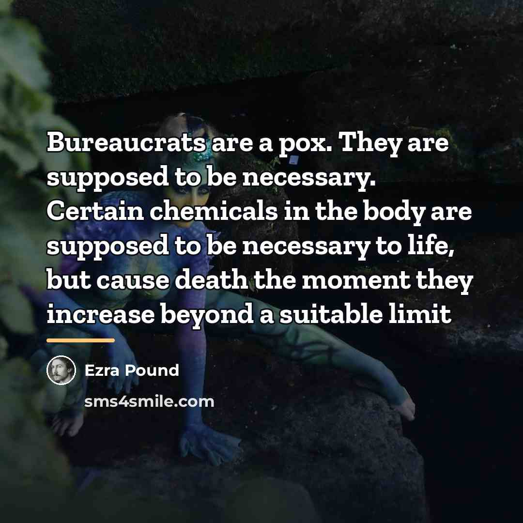 “Bureaucrats are a pox. They are supposed to be necessary.…” quote by Ezra Pound