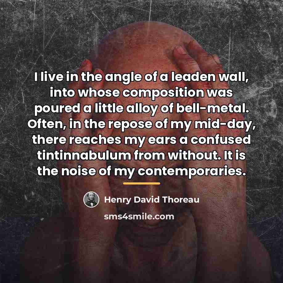 “I live in the angle of a leaden wall, into…” quote by Henry David Thoreau
