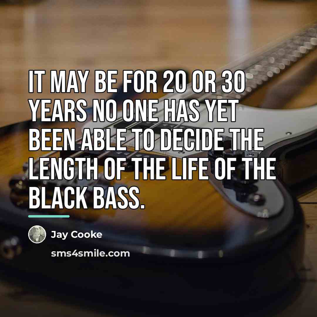 “It may be for 20 or 30 years no one…” quote by Jay Cooke