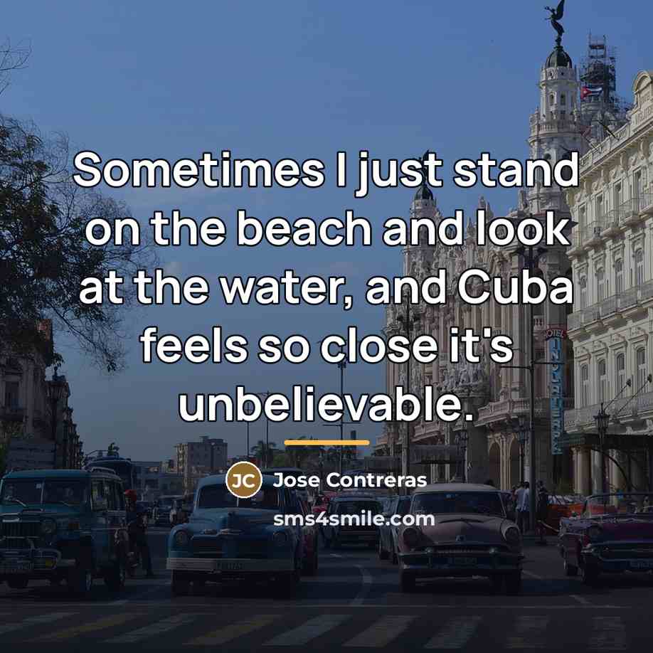 “Sometimes I just stand on the beach and look at…” quote by Jose Contreras