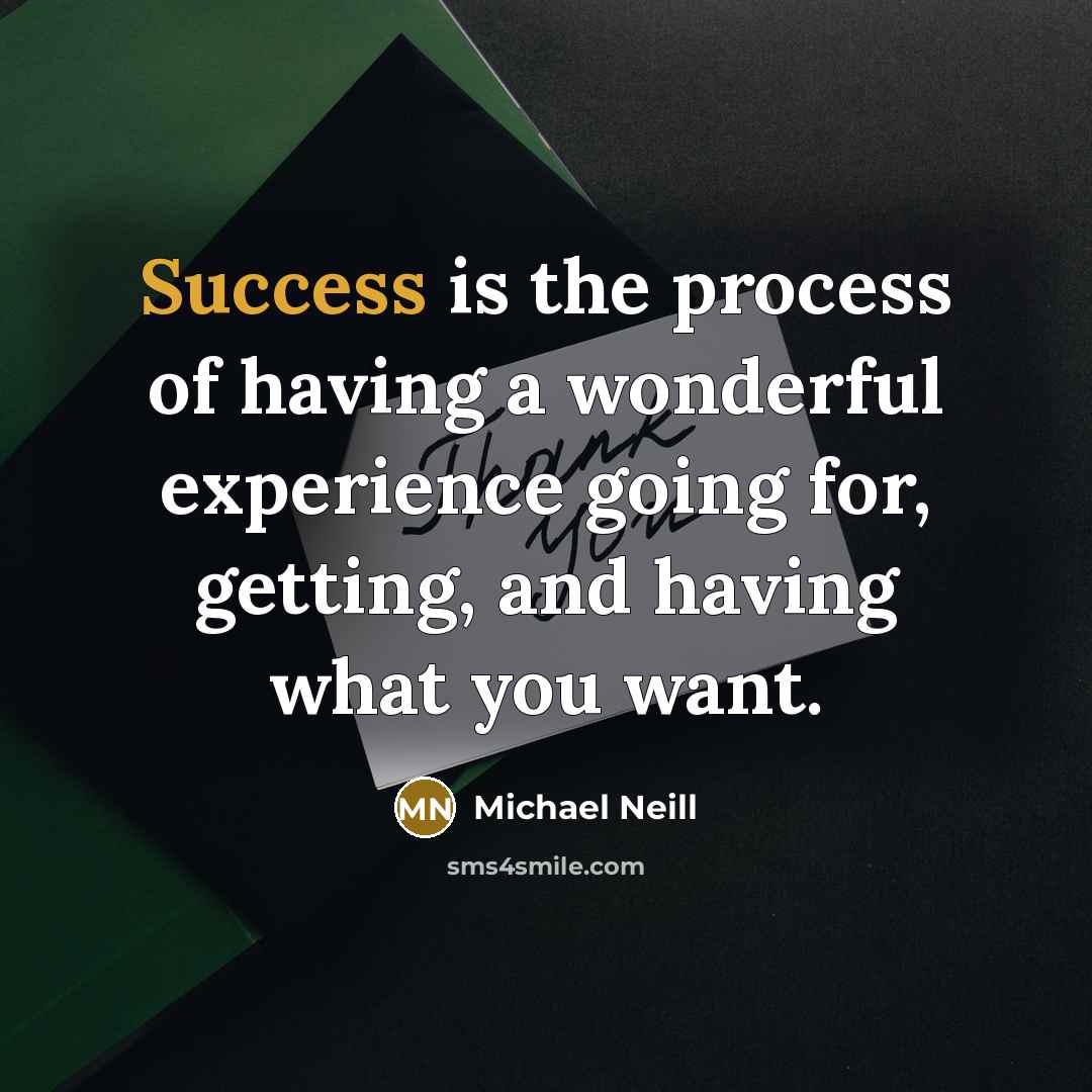 “Success is the process of having a wonderful experience going…” quote by Michael Neill