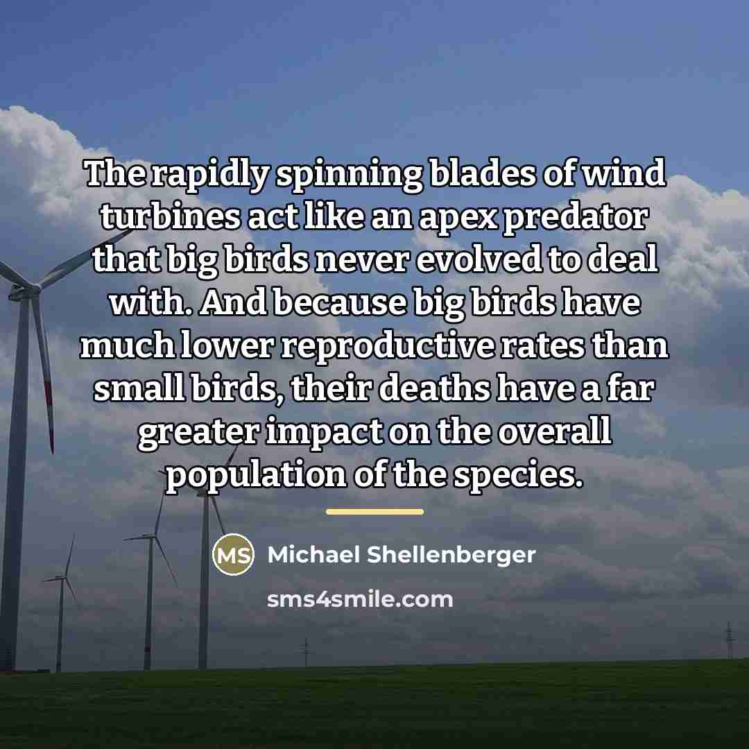 “The rapidly spinning blades of wind turbines act like an…” quote by Michael Shellenberger