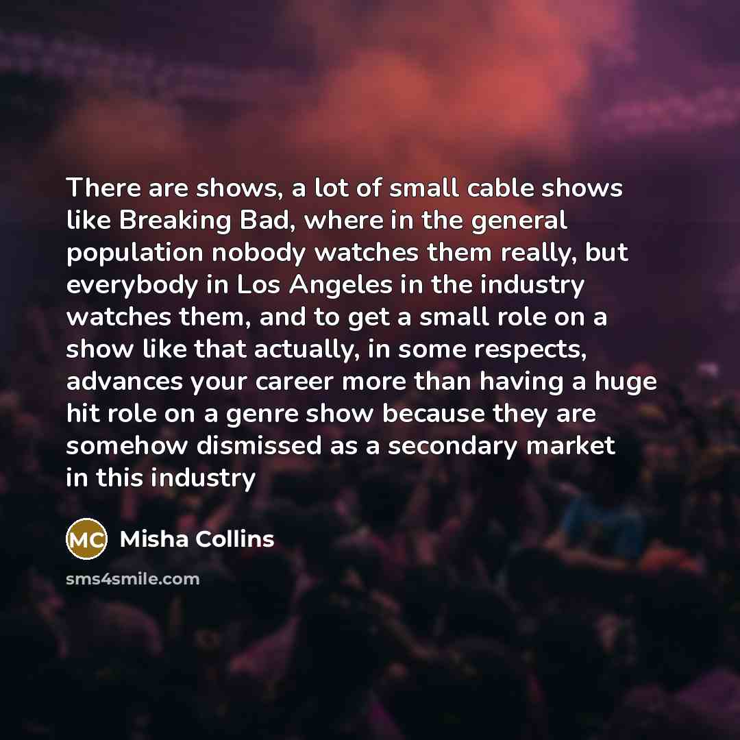“There are shows, a lot of small cable shows like…” quote by Misha Collins