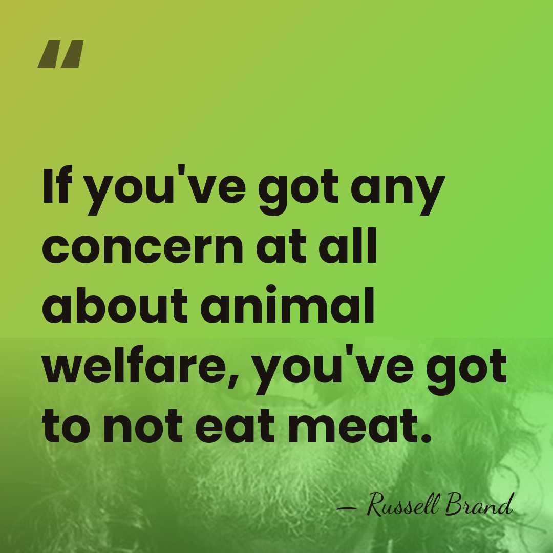 If you've got any concern at all about animal welfare, you've got&hellip; - Russell Brand