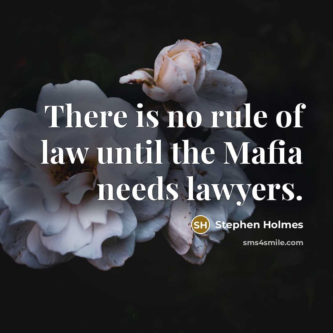 “There is no rule of law until the Mafia needs…” quote by Stephen Holmes