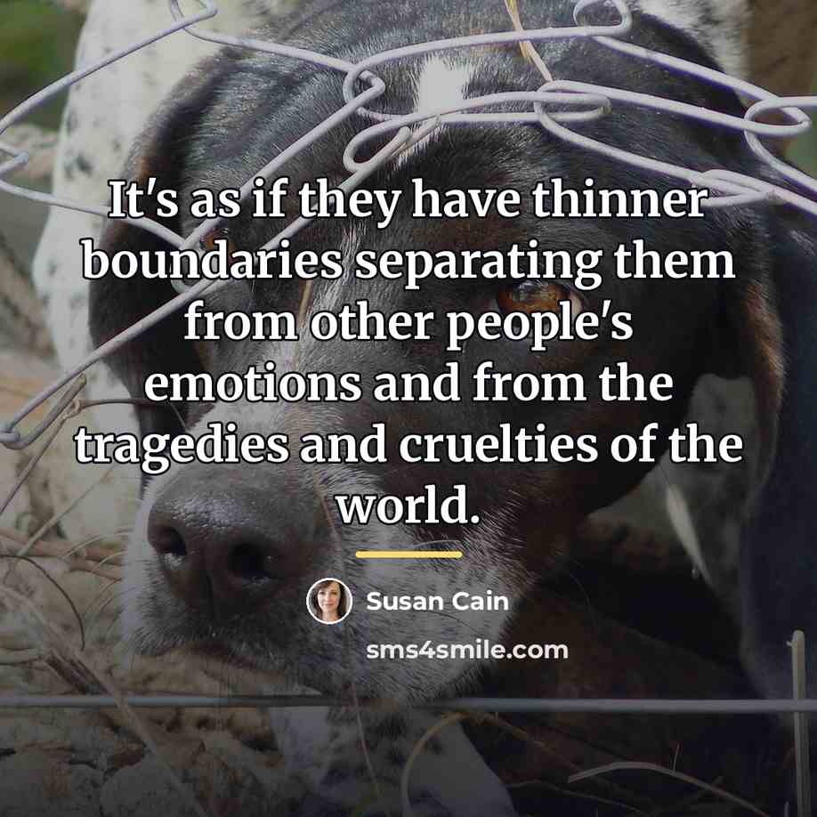 “It's as if they have thinner boundaries separating them from…” quote by Susan Cain