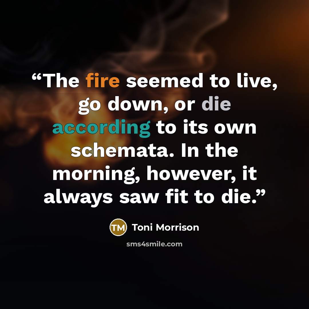 “The fire seemed to live, go down, or die according to its own schemata. In the morning, however, it always saw fit to die.” quote by Toni Morrison