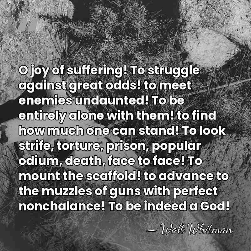 O joy of suffering! To struggle against great odds! to meet enemies&hellip; - Walt Whitman