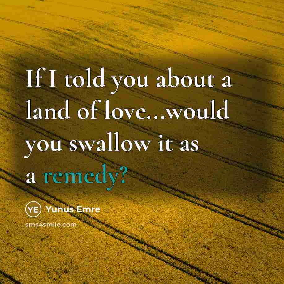 “If I told you about a land of love...would you…” quote by Yunus Emre