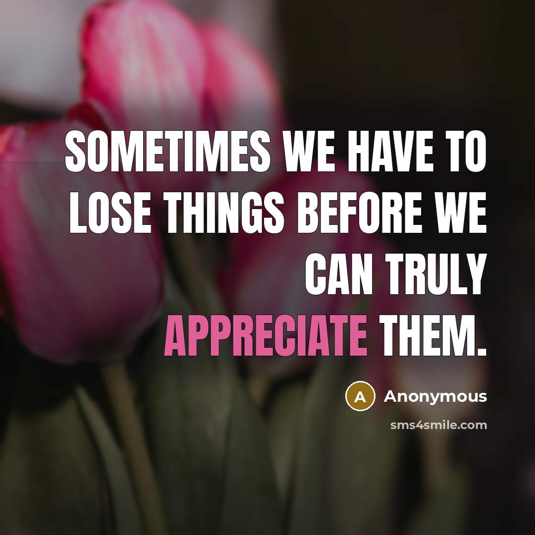 “Sometimes we have to lose things before we can truly appreciate them.” quote by Anonymous