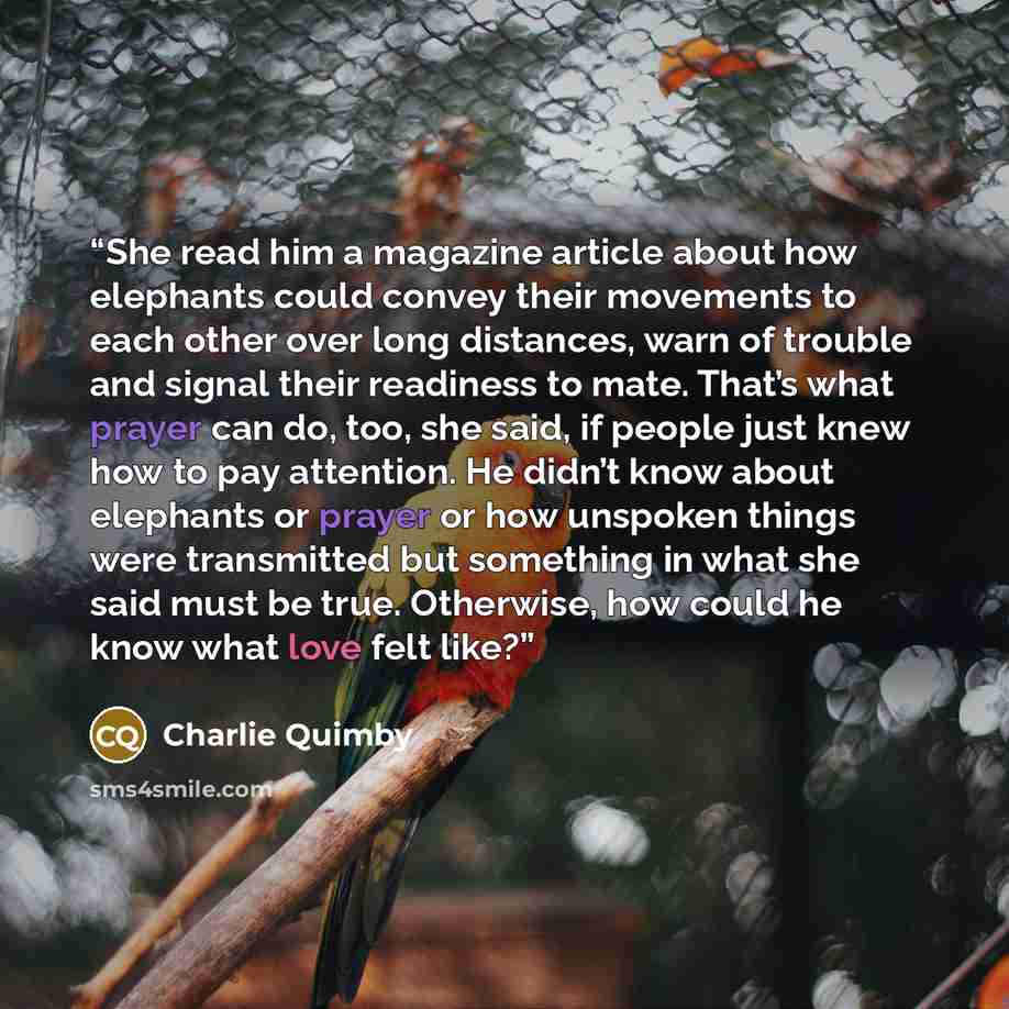“She read him a magazine article about how elephants could convey their movements to each other over long distances, warn of trouble and signal their readiness to mate. That’s what prayer can do, too, she said, if people just knew how to pay attention. He didn’t know about elephants or prayer or…” quote by Charlie Quimby