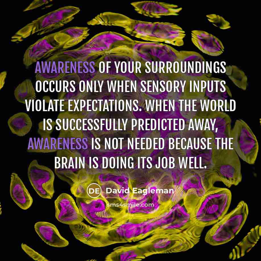 “Awareness of your surroundings occurs only when sensory inputs violate…” quote by David Eagleman